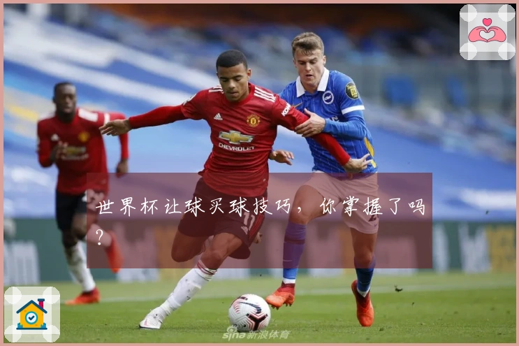 世界杯让球买球技巧，你掌握了吗？