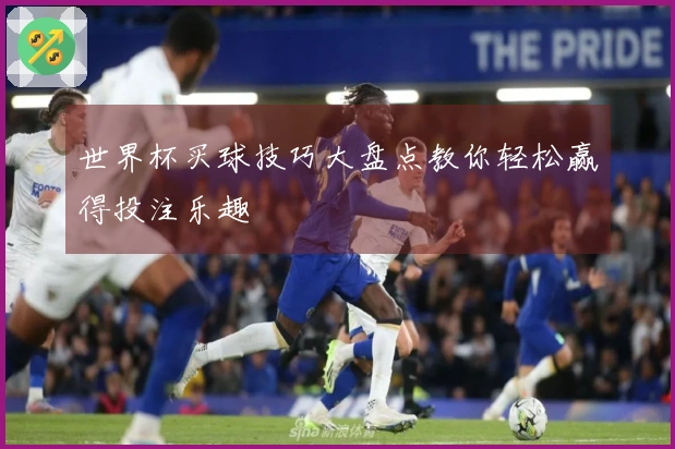 世界杯买球技巧大盘点教你轻松赢得投注乐趣