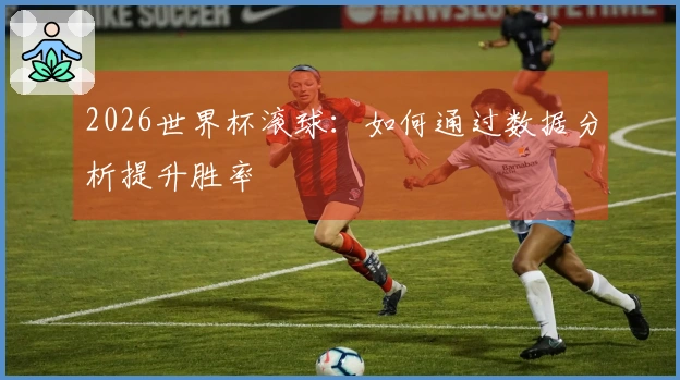 2026世界杯滚球：如何通过数据分析提升胜率