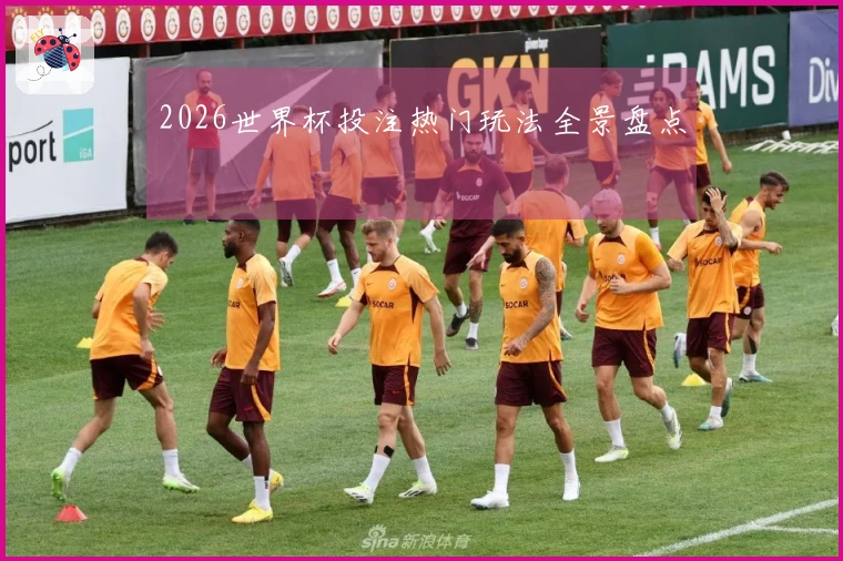 2026世界杯投注热门玩法全景盘点