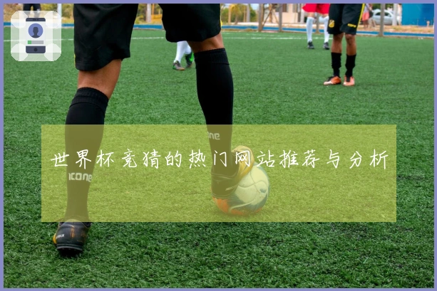 世界杯竞猜的热门网站推荐与分析