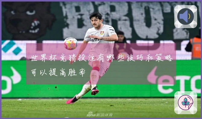 世界杯竞猜投注有哪些技巧和策略可以提高胜率