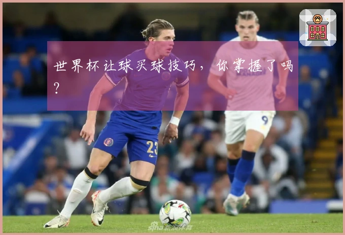 世界杯让球买球技巧，你掌握了吗？