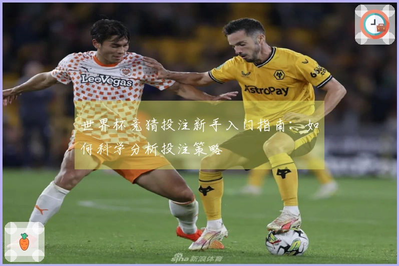 世界杯竞猜投注新手入门指南：如何科学分析投注策略