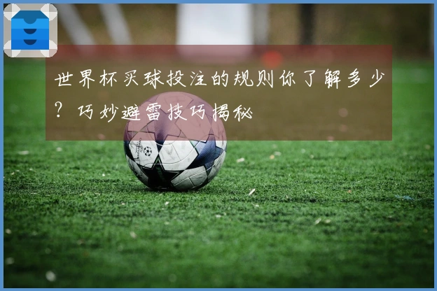 世界杯买球投注的规则你了解多少？巧妙避雷技巧揭秘