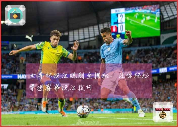 世界杯投注规则全揭秘，让你轻松掌握赛事投注技巧