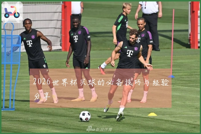 2026世界杯买球的必备技巧与经验分享