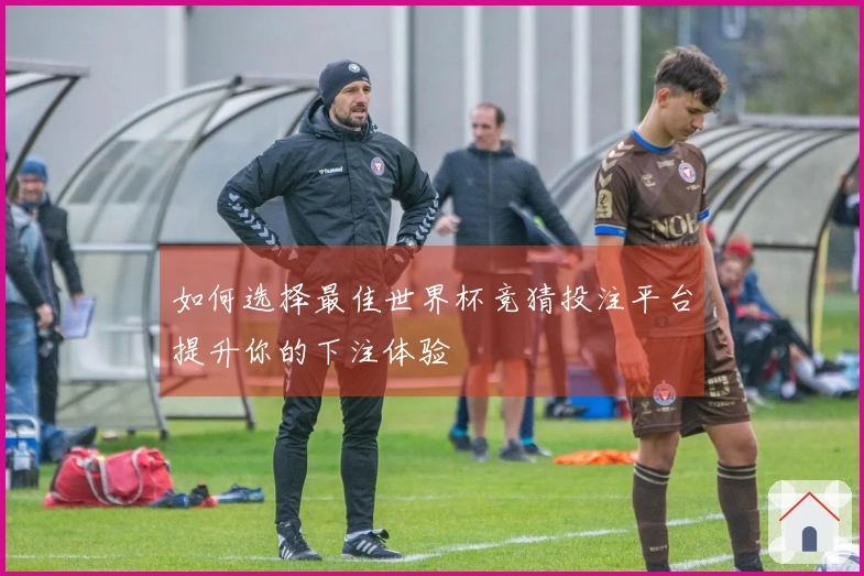 如何选择最佳世界杯竞猜投注平台提升你的下注体验