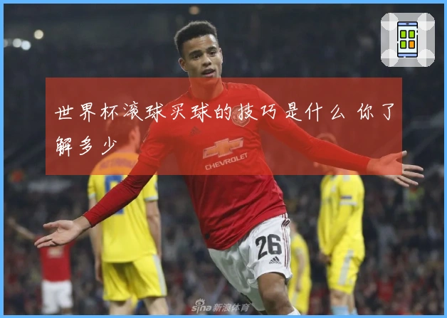 世界杯滚球买球的技巧是什么 你了解多少