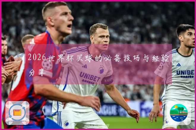 2026世界杯买球的必备技巧与经验分享