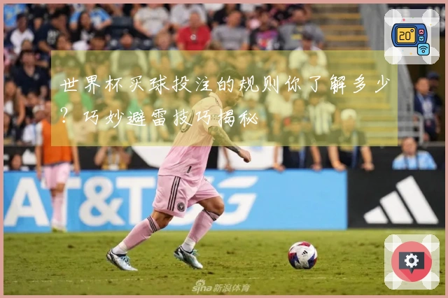 世界杯买球投注的规则你了解多少?巧妙避雷技巧揭秘