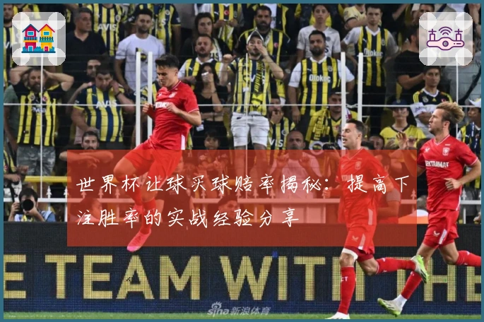 世界杯让球买球赔率揭秘：提高下注胜率的实战经验分享