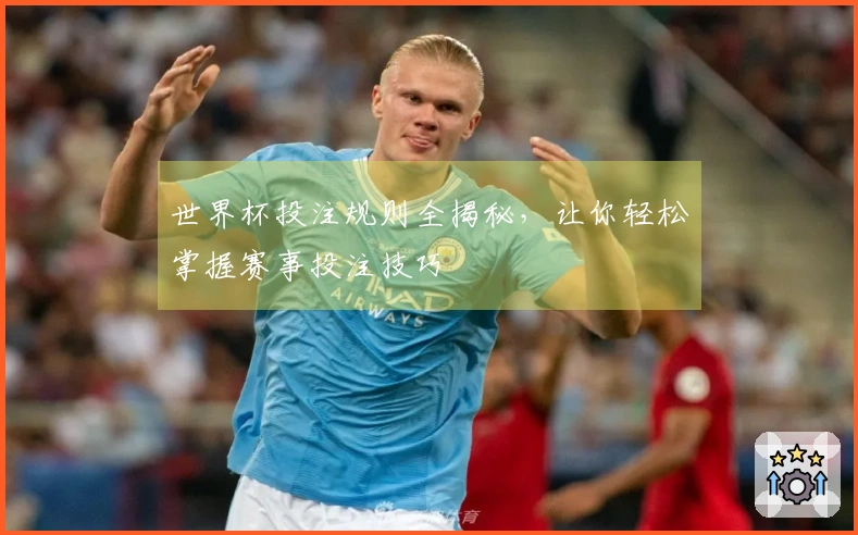 世界杯投注规则全揭秘，让你轻松掌握赛事投注技巧
