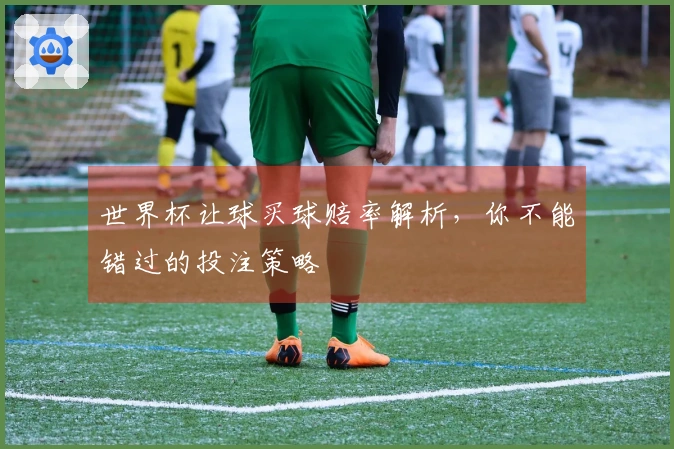 世界杯让球买球赔率解析，你不能错过的投注策略